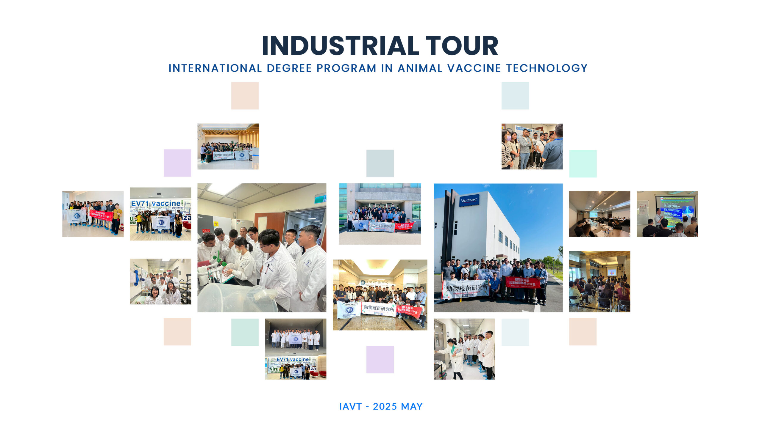 Read more about the article Bridging Academia and Industry: IAVT Visit to Leading Vaccine and Biologics Factories and Research Institutes